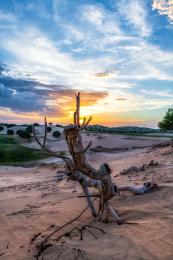 中国内蒙古锡林郭勒盟克什克腾旗草原沙漠