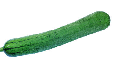 白底上的一条新鲜翠绿丝瓜