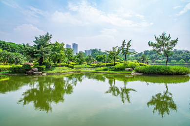 中国佛山千灯湖公园园林景观