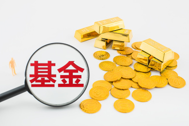 汇集所有金币金块和资金成为基金进行投资。
