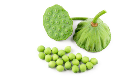 白色背景上放着两个莲蓬和一些新鲜莲子