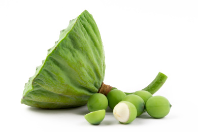 白色背景上放着一个莲蓬，拍的侧面，莲蓬后面还放着几颗莲子