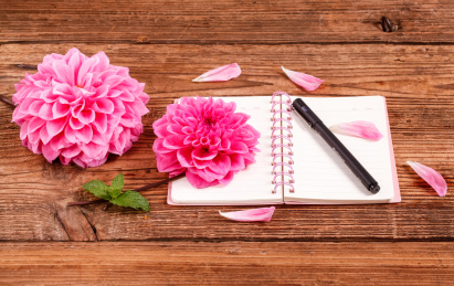 大丽花在木纹底上