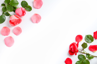 情人节玫瑰花海报