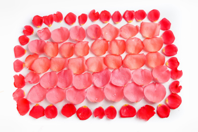 情人节玫花花瓣