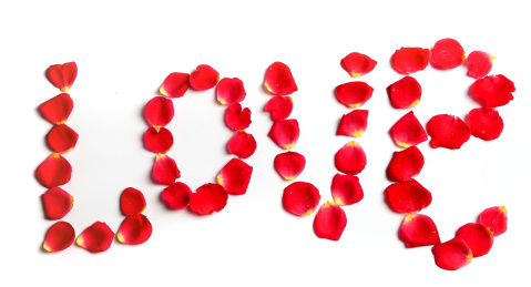 浪漫七夕玫瑰花