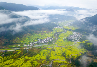 航拍中国最美乡村江西省婺源县江岭油菜花