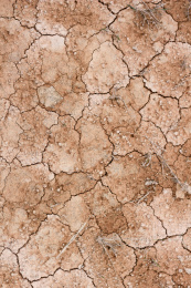 一片因为缺水开裂的红土地面