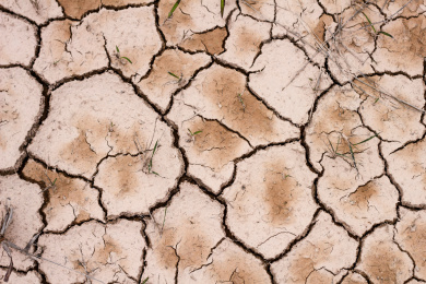 一片因为缺水开裂的红土地面