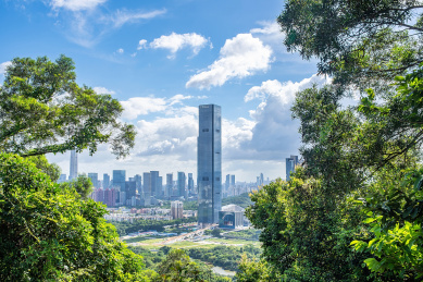笔架山公园山顶远眺深圳市城市风光