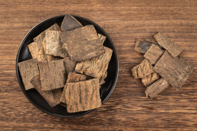 传统中药材炒杜仲微距特写