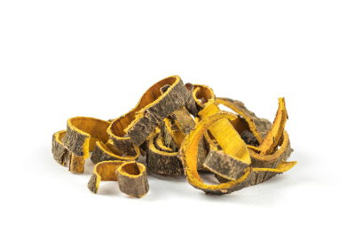 传统中医药材黄柏微距特写