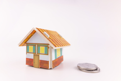 白色背景中的小房子和货币