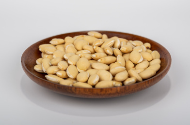 中国中草药植物药材白扁豆白底图