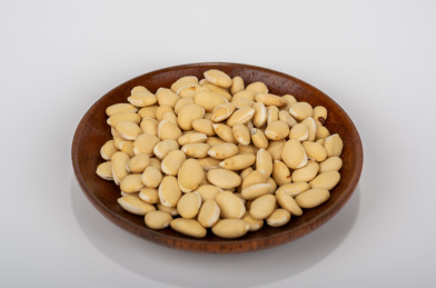 中国中草药植物药材白扁豆白底图