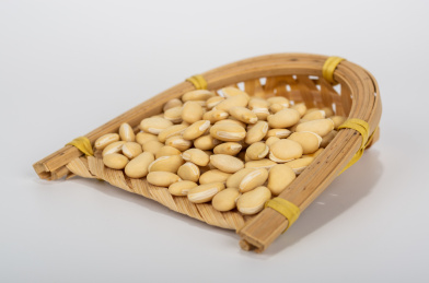 中国中草药植物药材白扁豆白底图