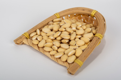 中国中草药植物药材白扁豆白底图