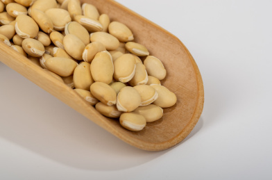 中国中草药植物药材白扁豆白底图