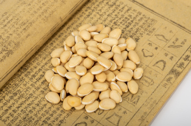 中国中草药植物药材白扁豆白底图