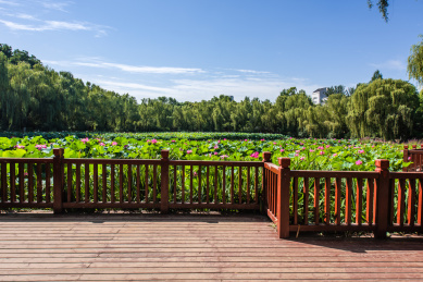 西安兴庆宫公园