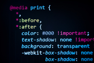 屏幕上显示的服务器网站程序源代码