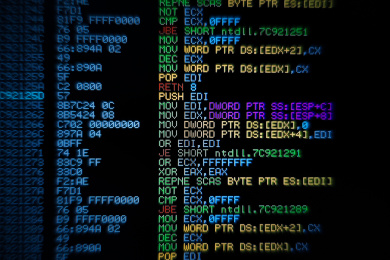 屏幕上显示的服务器网站程序源代码