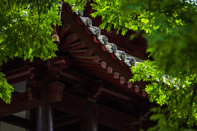 西安市小雁塔景区