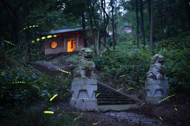 夏季中国江苏南京兜率寺萤火虫夜景风光