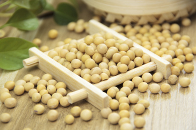 五谷杂粮黄豆图片 豆