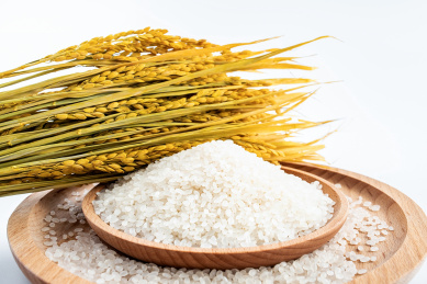 白背景上一把金黄色的稻穗和一碟圆粒大米