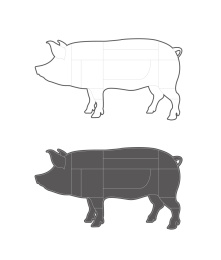 猪肉分割部位矢量插画设计素材