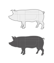 猪肉分割部位矢量插画设计素材