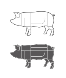 猪肉分割部位矢量插画设计素材