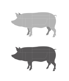 猪肉分割部位矢量插画设计素材
