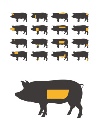 猪肉分割部位矢量插画设计素材