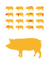 猪肉分割部位矢量插画设计素材