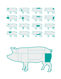猪肉分割部位矢量插画设计素材