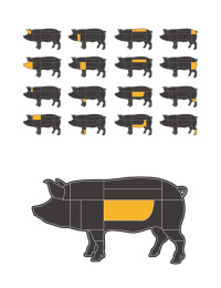 猪肉分割部位矢量插画设计素材