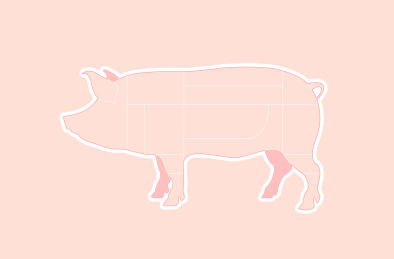猪肉分割部位矢量插画设计素材