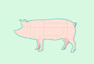 猪肉分割部位矢量插画设计素材