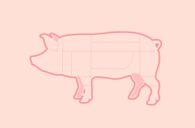 猪肉分割部位矢量插画设计素材