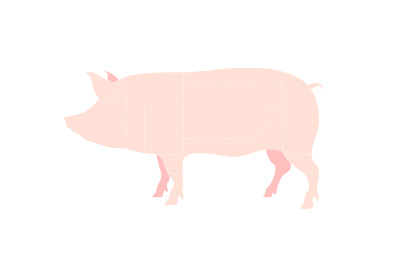 猪肉分割部位矢量插画设计素材