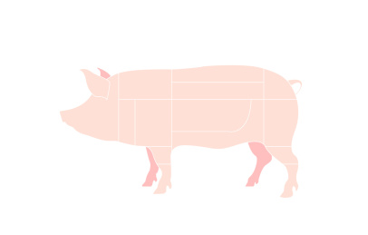 猪肉分割部位矢量插画设计素材