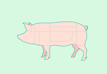 猪肉分割部位矢量插画设计素材
