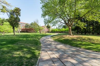 现代城市里的公园人造景观