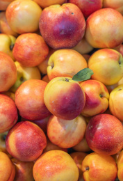 成堆摆放的 新鲜的油桃/脆桃子