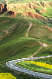 中国青海省祁连县卓尔山夏季风光