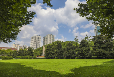 中国上海交通大学绿树成荫的大学校园大草坪