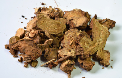 中国传统中医中草药原材料特写-生白术