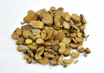 中国传统中医中草药原材料特写-炒白芍